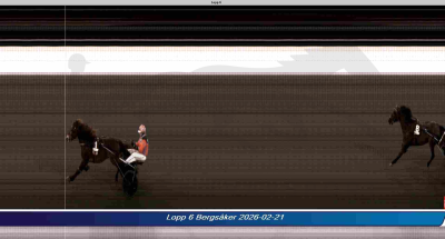 Bild från travets värld