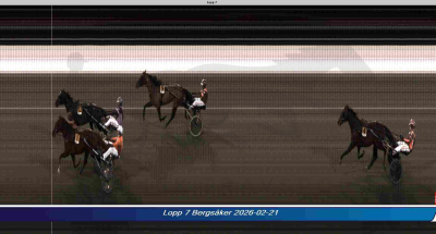 Bild från travets värld