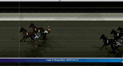 Bild från travets värld