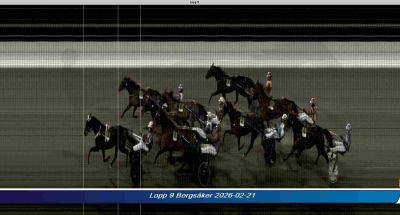 Bild från travets värld