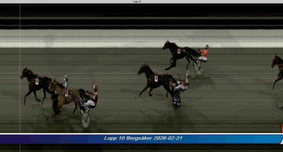 Bild från travets värld