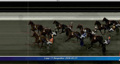 Bild från travets värld