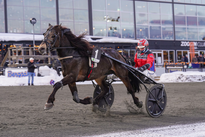 Bild från travets värld
