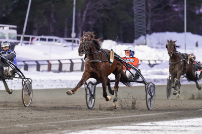 Bild från travets värld