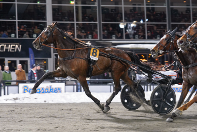 Bild från travets värld