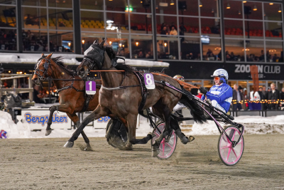 Bild från travets värld