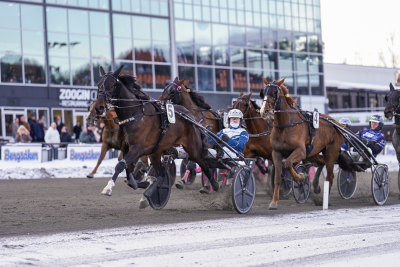 Bild från travets värld