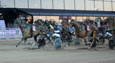 Bild från travets värld