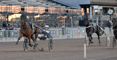 Bild från travets värld