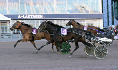 Bild från travets värld