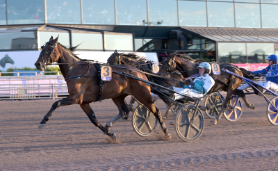 Bild från travets värld