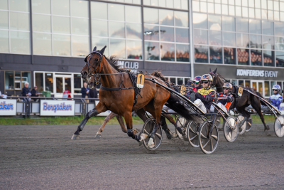 Bild från travets värld