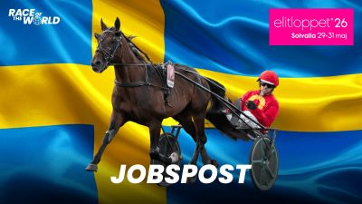 Bild från travets värld