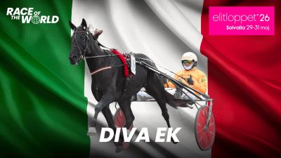 Bild från travets värld