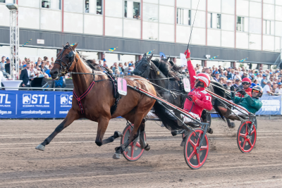 Bild från travets värld