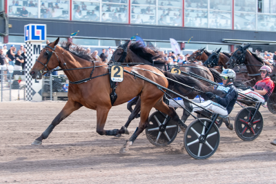Bild från travets värld