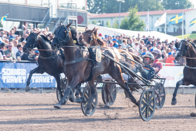 Bild från travets värld