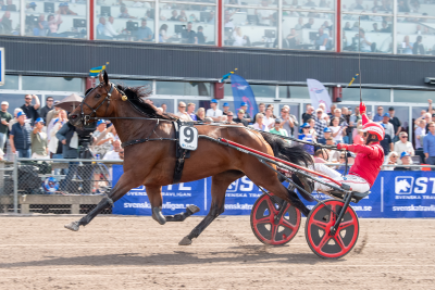 Bild från travets värld