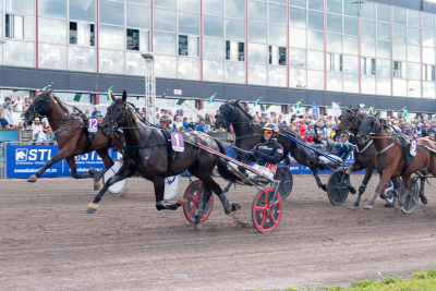 Bild från travets värld