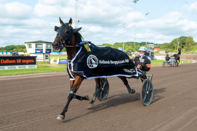 Bild från travets värld