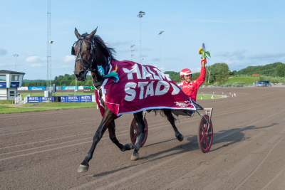 Bild från travets värld
