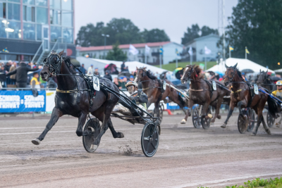 Bild från travets värld