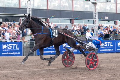 Bild från travets värld