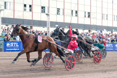 Bild från travets värld