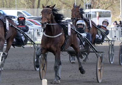 Bild från travets värld