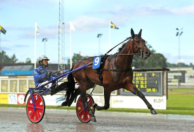 Bild från travets värld