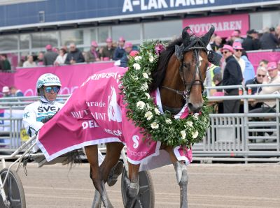 Bild från travets värld