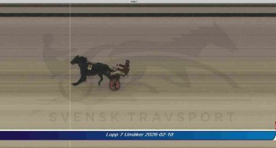 Bild från travets värld