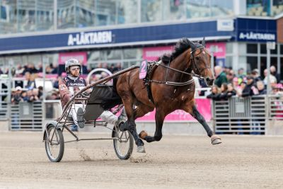 Bild från travets värld