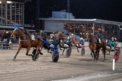 Bild från travets värld