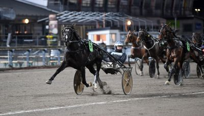 Bild från travets värld