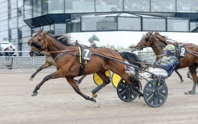Bild från travets värld
