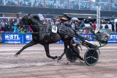 Bild från travets värld