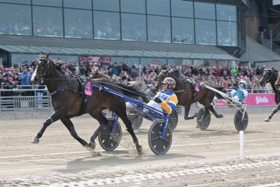 Bild från travets värld