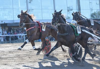 Bild från travets värld