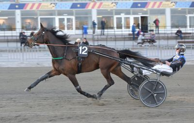 Bild från travets värld