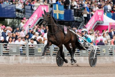 Bild från travets värld