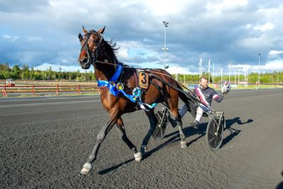 Bild från travets värld