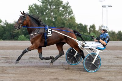Bild från travets värld