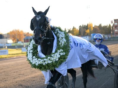 Bild från travets värld