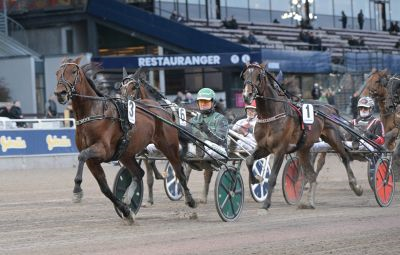 Bild från travets värld