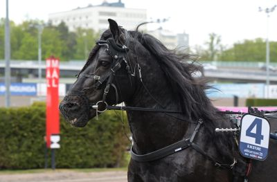 Bild från travets värld