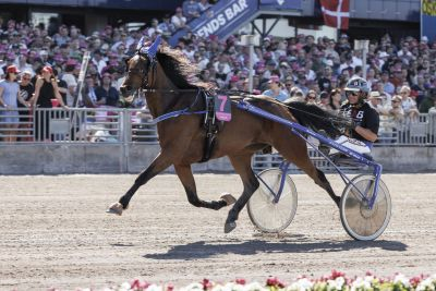 Bild från travets värld