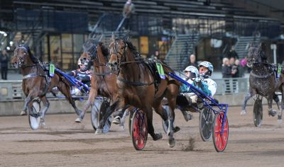 Bild från travets värld