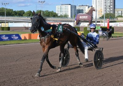 Bild från travets värld