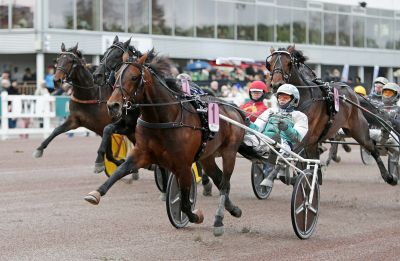 Bild från travets värld